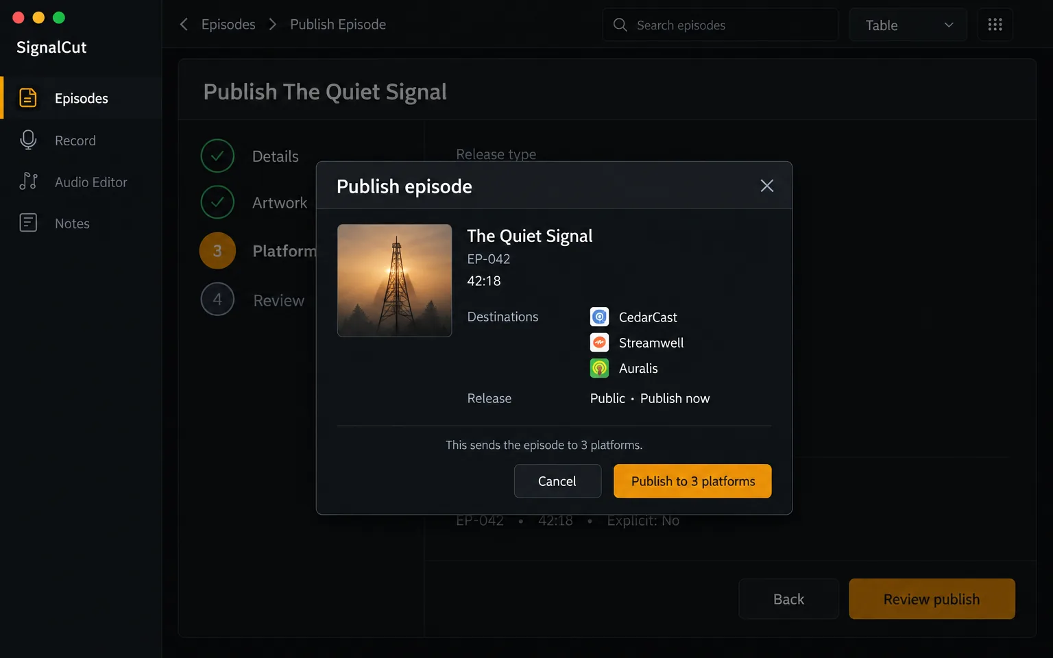 Confirm Publish screen — Confirm the irreversible release of The Quiet Signal to the three selected platforms.